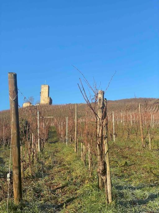 Ferienwohnung Le Cocon Du «Katzelberg» A 10Mn De Colmar Katzenthal Exterior foto