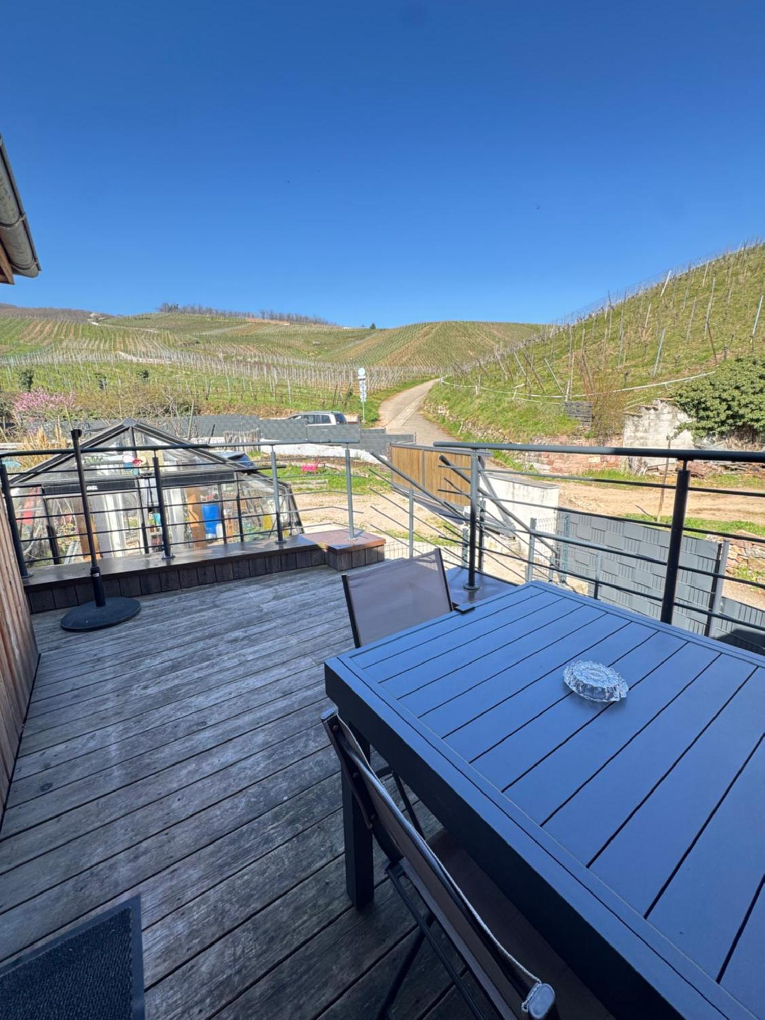 Ferienwohnung Le Cocon Du «Katzelberg» A 10Mn De Colmar Katzenthal Exterior foto